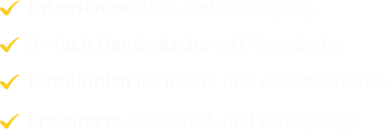 Premium-Vorteile: Lederintensivpflege, Polstertiefenreinigung, 3-fach Handwäsche & Detailfinish sowie Nass-Tiefenreinigung.
